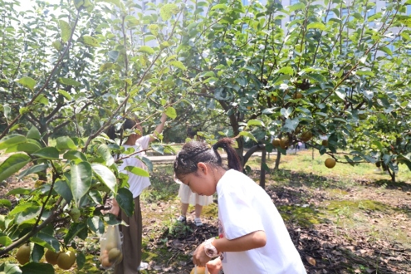 5171726107759576.jpg 圖片2_副本-1.jpg